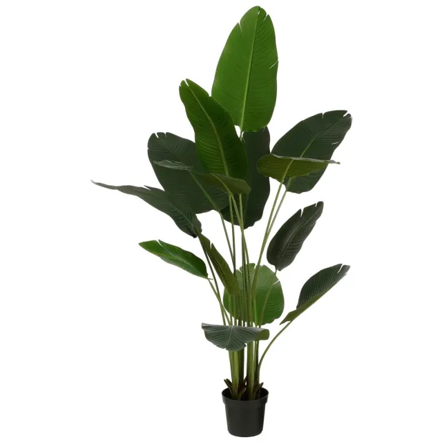 Mica Decorations Kunstplant Bananenboom in Pot - H180 x Ø30 cm - Groen