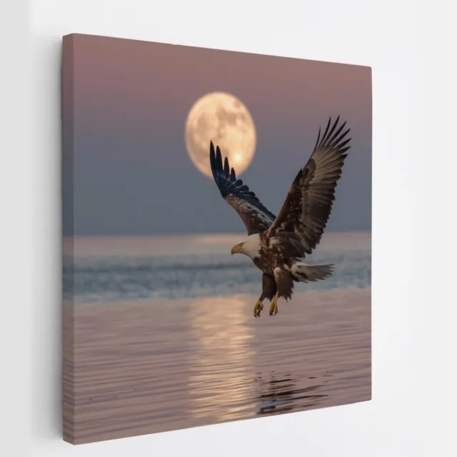 Saammp Canvas Schilderij - Zeearend met volle maan - Dieren - Bloemen - 30x30 - Foto op canvas - Wanddecoratie - muurdecoratie Woonkamer - Slaapkamer decoratie - Canvas Print Multicolor