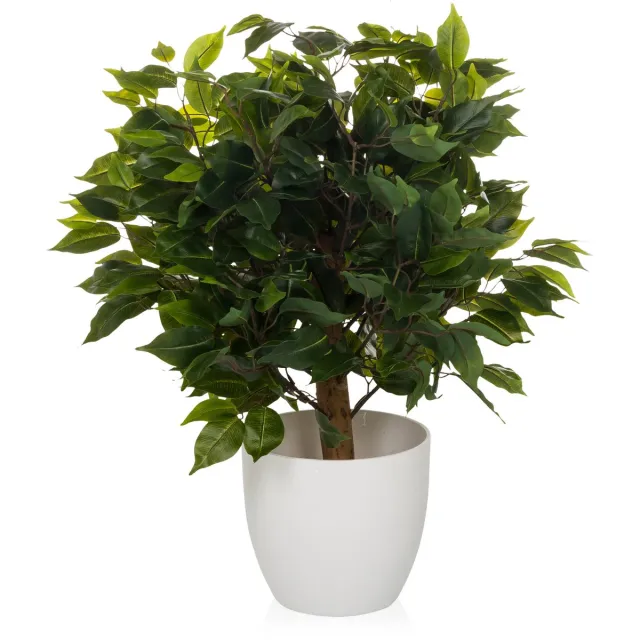 hjh office Kunstplant / kunstboom FICUS II 65 cm groen hjh OFFICE
