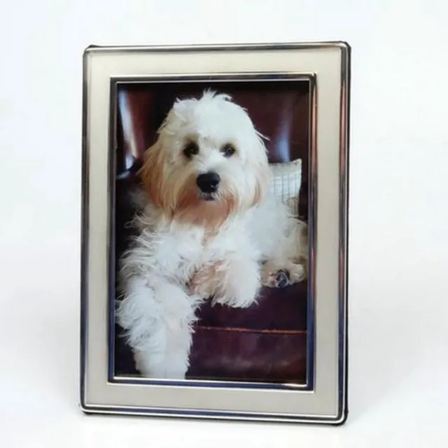 AL Fotolijst - Glans/Mat Zilver - 9 x 13 cm