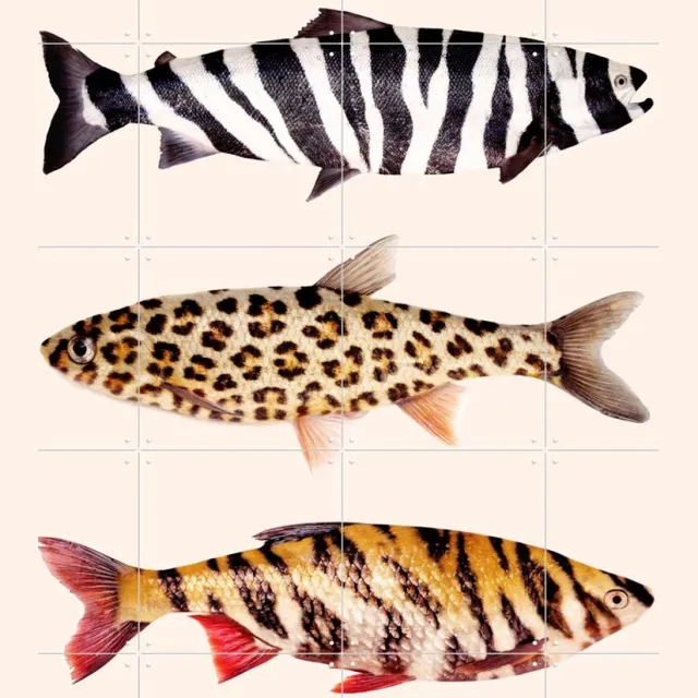 IXXI Fish Prints, Paul Fuentes - 80 x 100 cm - Grote wanddecoratie en posters - Illustraties, Grafisch Ontwerp, Speels, Houtsnede, Badkamer Pastel kleuren / Zwart / Warme kleuren