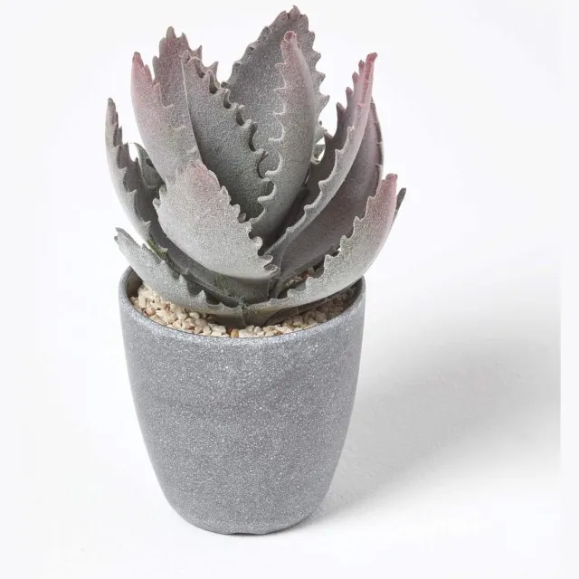 Homescapes Kleine Kunstmatige Echte Aloë Vera in Melamine Pot, 21 cm Hoog Groen-violet