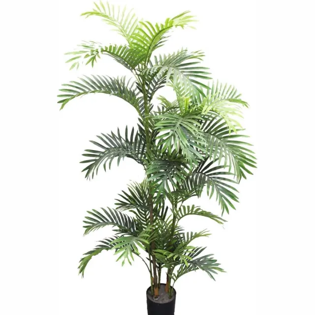 Noach Areca palm - 160 cm Groen