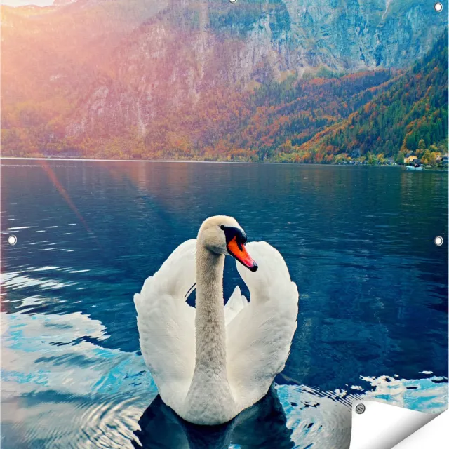 Gards Tuinposter Zwaan op het Water in de Bergen - 90x90 cm - Tuindoek - Tuindecoratie - Wanddecoratie buiten - Tuinschilderij Multikleur