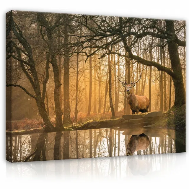 WALLARENA Canvas schilderij - 60x40 cm - afbeelding van een hert in het bos met bomen voor de slaapkamer multikleurig