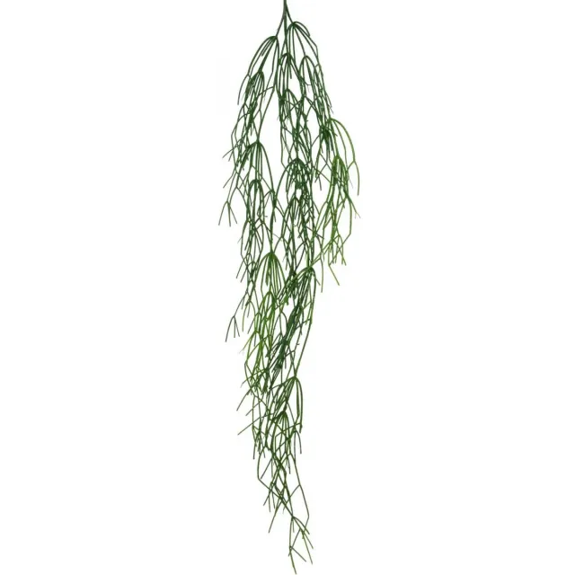 Viana Sierranken, koraalcactus, Rhipsalis kunsthanger Groen L120cm groente
