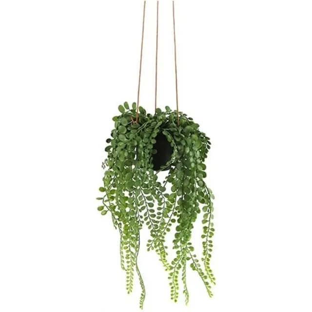 Countryfield Kunstplant Peperomia groen-hoogte 45 cm