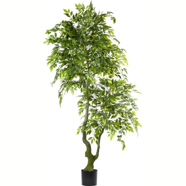 Silk Flora Zijden Ficus Benjamina – Kunstboom – 210 cm – Onderhoudsvrij – Groene Kunstplant