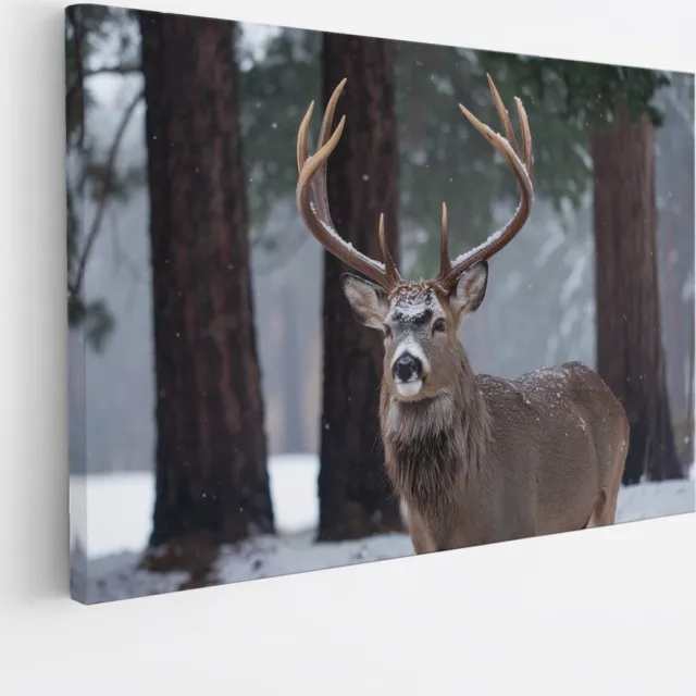 Saammp Canvas Schilderij - Hert in het bos met sneeuw - Natuur - Dieren - 90x60 - Foto op canvas - Wanddecoratie - Muurdecoratie Woonkamer - Slaapkamer decoratie - Canvas Print Multicolor