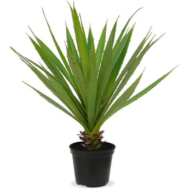maxifleur Kunstplanten Yucca kunstplant 40cm Groen