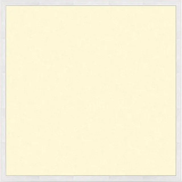 Varnalux 2st. VARNALUX LED BACKLIT PANEEL 60x60 36W 4000K 110lm/w FF EU-STEKKER Wit