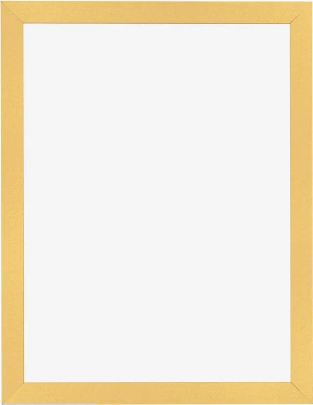 Dutch Frame Factory Fotolijst 18x24 cm - MDF - Goud Mat - Benno