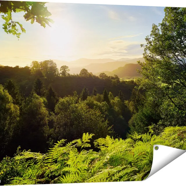 Gards Tuinposter Zonsondergang vanuit een Bos - 100x80 cm - Tuindoek - Tuindecoratie - Wanddecoratie buiten - Tuinschilderij Multikleur