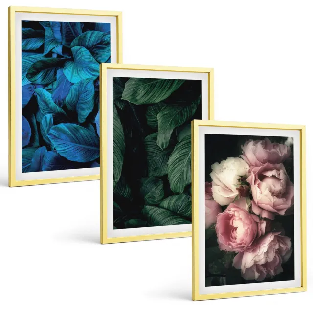 TULUP 4-Delige Schilderij Set - Bladeren en bloemen in verschillende kleuren - 40 x 60 cm - Decoratieve Muurdecoratie - Slaapkamer - Moderne Wanddecoratie Gouden lijst