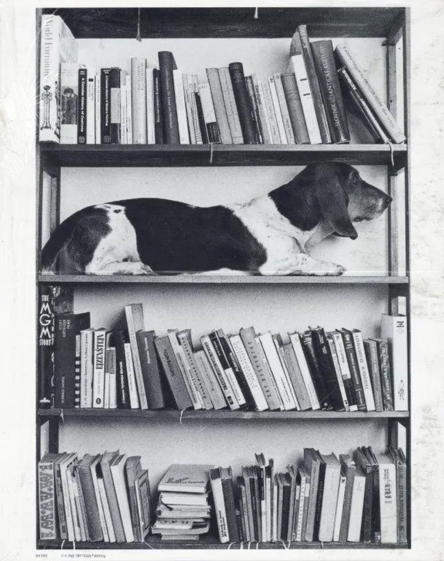 Catch Projecten Mini zwart-wit poster - Eda - Antonin Maly - 24x30 cm