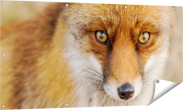 Gards Tuinposter Vossenkop met Bruine Ogen - Vos - 140x70 cm - Tuindoek - Tuindecoratie - Wanddecoratie buiten - Tuinschilderij Multikleur