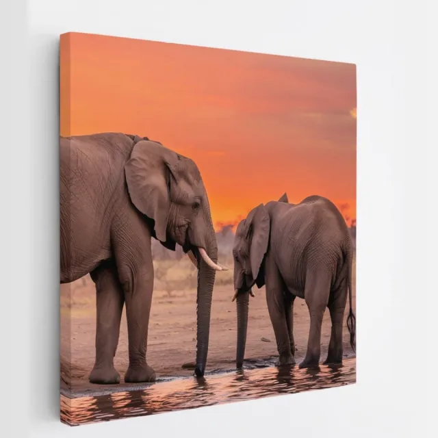 Saammp Canvas Schilderij - Olifant met kalf - Afrika - Dieren - 30x30 - Foto op canvas - Wanddecoratie - muurdecoratie Woonkamer - Slaapkamer decoratie - Canvas Print Multicolor