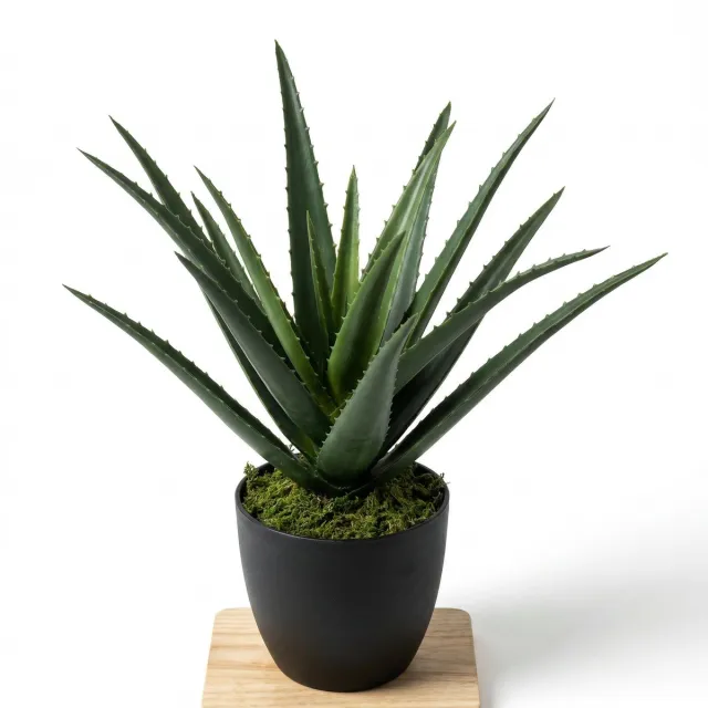 Cheqo Kunstplant Aloë Vera - Nepplant - Kamerplant - Namaak Plant - Vetplant - Woondecoratie voor Binnen - in Pot - Succulent - Decoratieve Plant voor Woonkamer en Kantoor - Groen