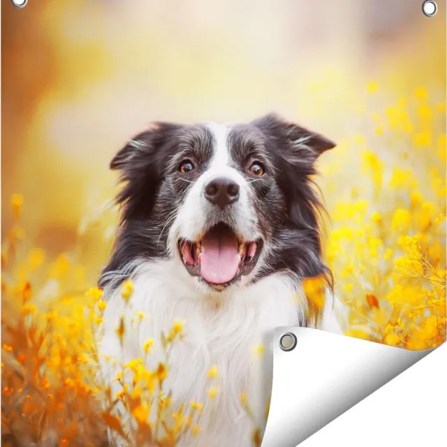 Gards Tuinposter Blije Hond tussen de Bloemen - 50x50 cm - Tuindoek - Tuindecoratie - Wanddecoratie buiten - Tuinschilderij Multikleur