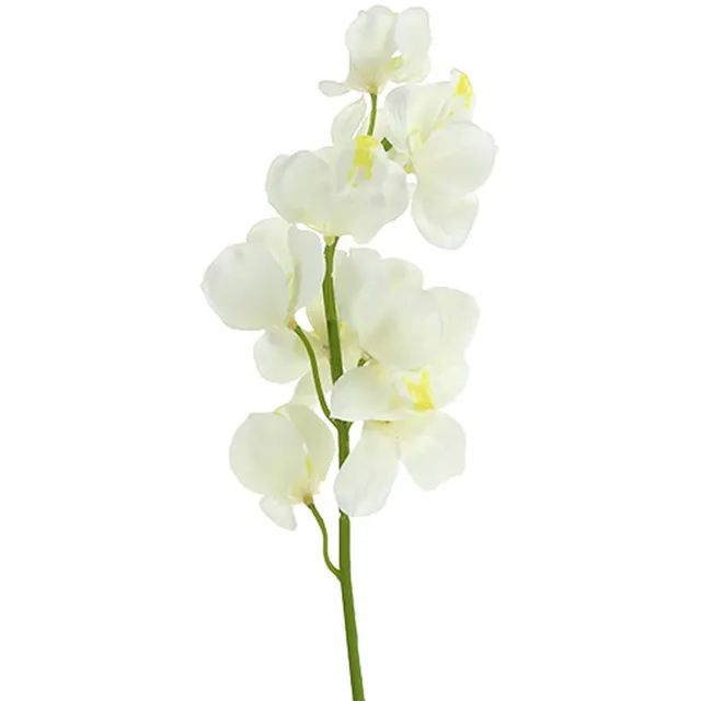 Viana Orchidee kunst crème 50cm 6st, 6 Stück Wit