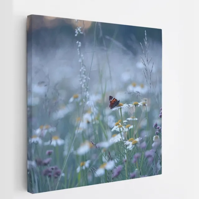 Saammp Canvas Schilderij - Vlinder in bloemenveld - Dieren - Natuur - 40x40 - Foto op canvas - Wanddecoratie - muurdecoratie Woonkamer - Slaapkamer decoratie - Canvas Print Multicolor