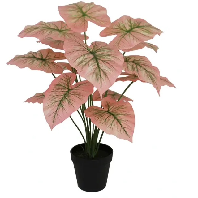 Buitengewoon Boet Kunstplant Caladium pink- 50cm Groen