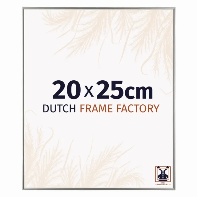 Dutch Frame Factory Fotolijst 20x25 cm - Kunststof - Champagne - Easy