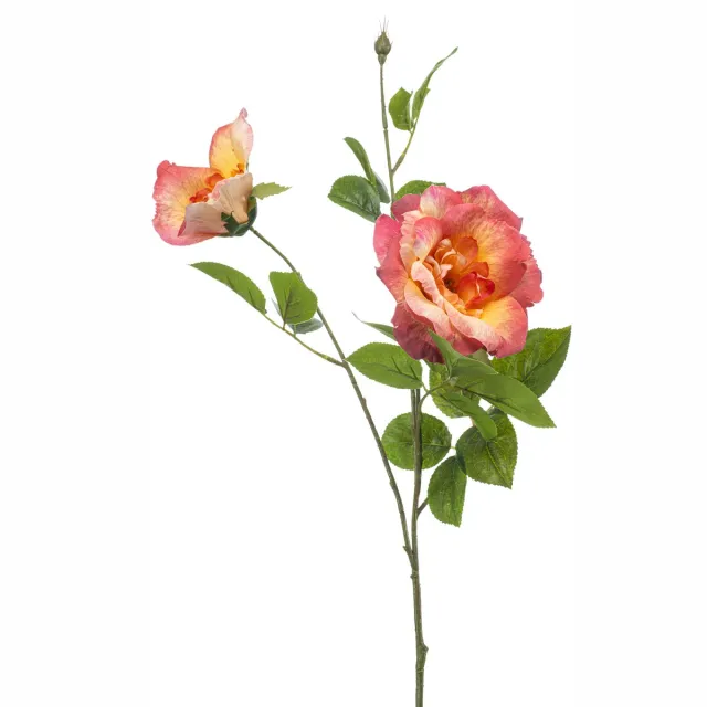Emerald Rose liza spray x3 peach 80 cm Emerald onbekend