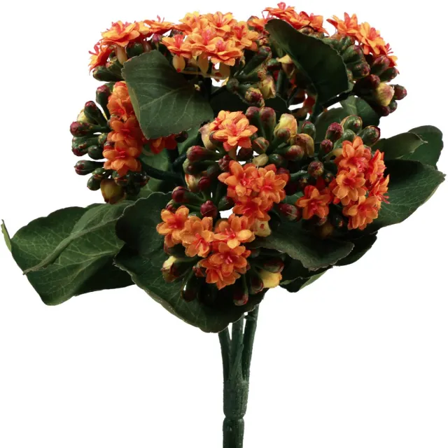 Viana Flaming Käthchen Kalanchoë kunst oranje 24cm