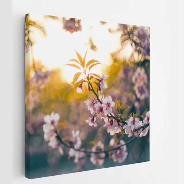 Saammp Canvas Schilderij - Bloemen in zonsopgang - Natuur - 60x60 - Foto op canvas - Wanddecoratie - Muurdecoratie Woonkamer - Kantoor Decoratie Multicolor