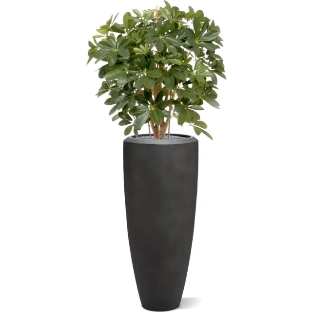 Maxifleur Schefflera kunstplant 80cm Groen