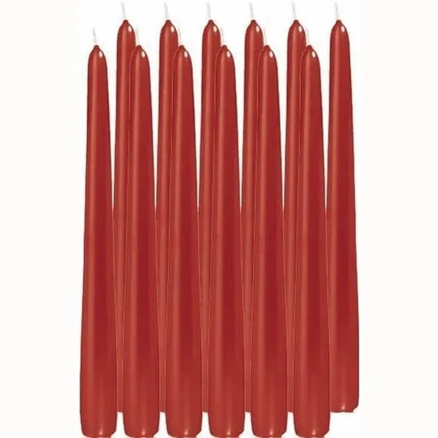 Enlightening Candles Dinerkaarsen - 24x stuks - rood - 8 branduren - 25 cm - kandelaar kaarsen - sfeerkaarsen