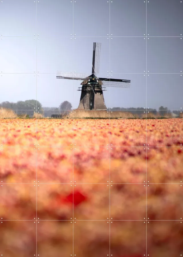 IXXI Windmill in Bloom, Claire Droppert - 100 x 140 cm - Grote wanddecoratie en posters - Fotografie, Woonkamer, Studeerkamer, Gang, Eetkamer Oranje