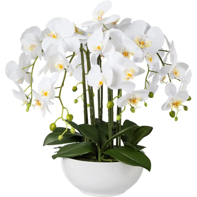 Kopu Kunstbloem Orchidee 54 cm Wit met Schaal - Phalenopsis