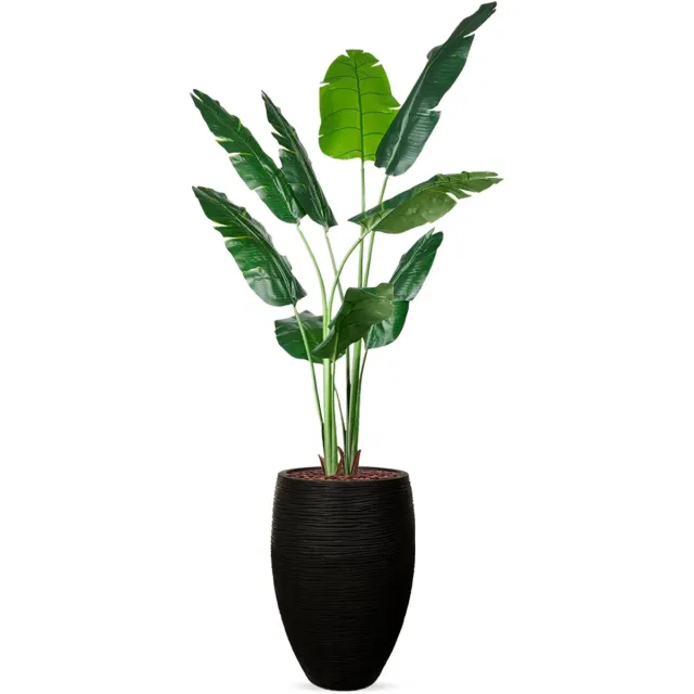 HTT Decorations Kunstplant Strelitzia in Vaas elegant Rib antraciet H210 cm