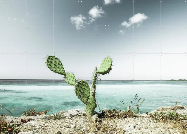 IXXI Tropical Cactus, Claire Droppert - 140 x 100 cm - Grote wanddecoratie en posters - Minimalisme, Naturalisme, Fotografie, Woonkamer, Strandhuis Blauw / Groen