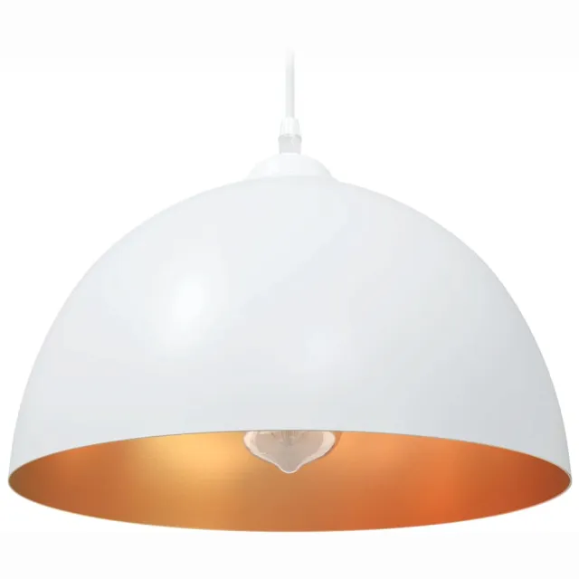vidaXL Hanglampen 2 st In hoogte verstelbaar E27 30 cm metaal wit