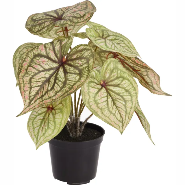 maxifleur Kunstplanten Syngonium Pink Ruby kunstplant 28cm in kweekpot Roze