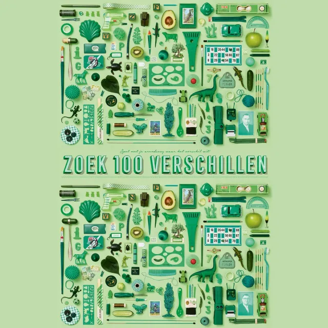 STRATIER XL Spelposter - Zoek 100 verschillen (GROEN) - spel