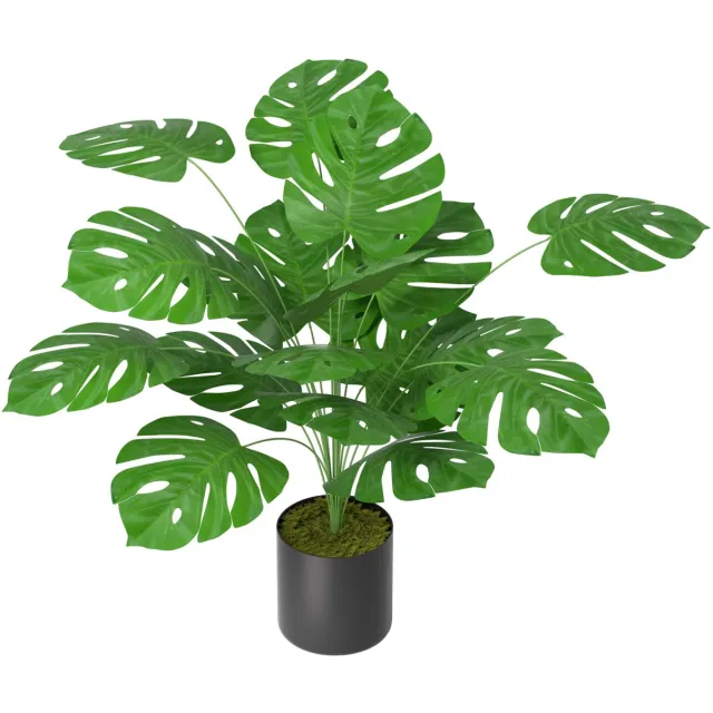 LEELONG Aufun Kunstplant Schildpaddenboom 40cm Kunstplanten Zoals Echt Met Stam Van Natuurlijk Hout Kunstboom Voor Woonkamer Slaapkamer Kantoor Decoratie Groente
