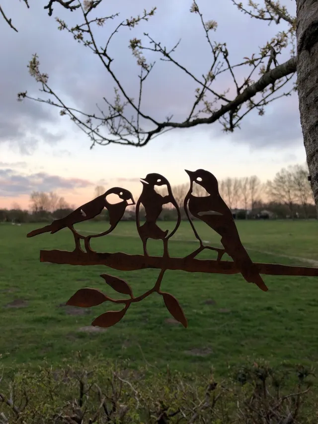 Birdwise Koolmees trio Metaal