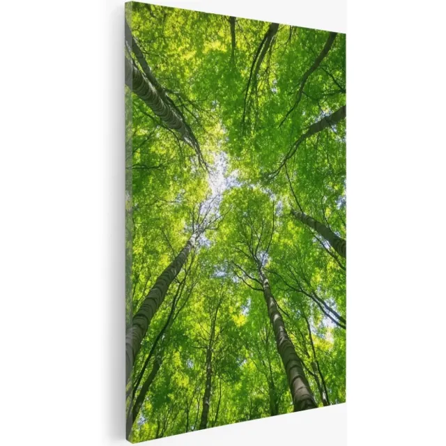 Saammp Canvas Schilderij - Natuur - hert in zonneschijn - landschappen - 30x40 - Foto op canvas - Wanddecoratie - Muurdecoratie Woonkamer - Slaapkamer decoratie - Canvas Print Multicolor