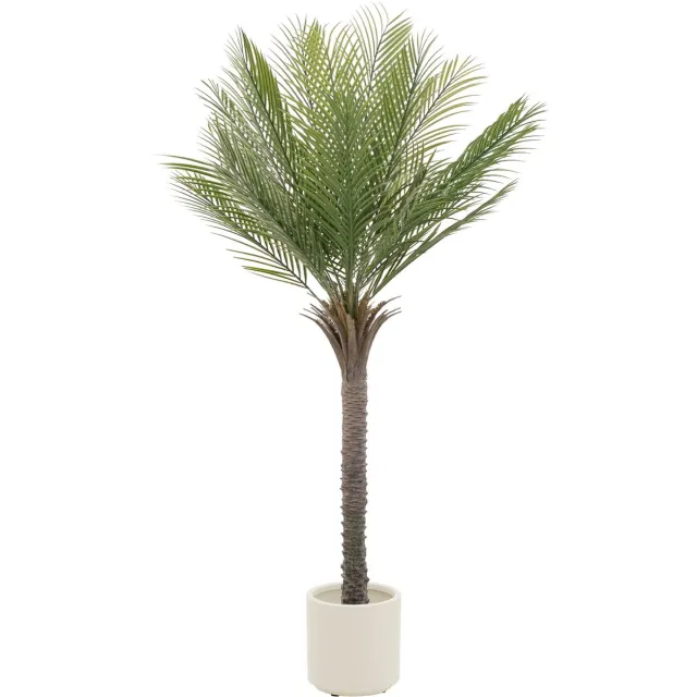 ml-design kunstmatige palmboom 150 cm tropische kunstplant groot levensecht nepplant plastic plant in pot voor binnen buiten woonkamer kantoor slaapkamer balkon tuin hawaii exotische deco palmboom tropisch groen interieur decoratie Bruin, Zwart