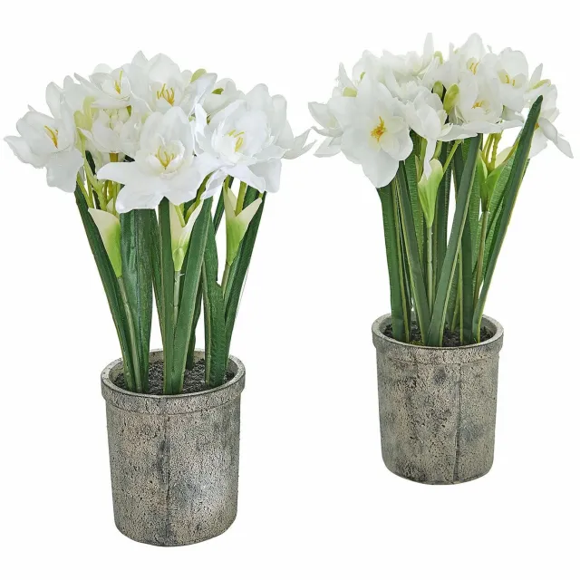 Loberon Sierbloem set van 2 Soralen groen/wit
