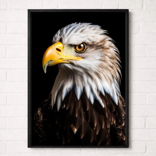 Kleurmedia Zeearend Poster - Vogelportretten Collectie - Dieren Posters - A1+ 61 x 91,5 cm Wit