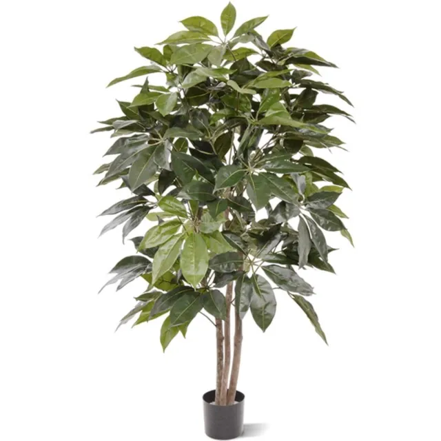 maxifleur Kunstplanten Scheflera Amate kunstboom 150cm Groen