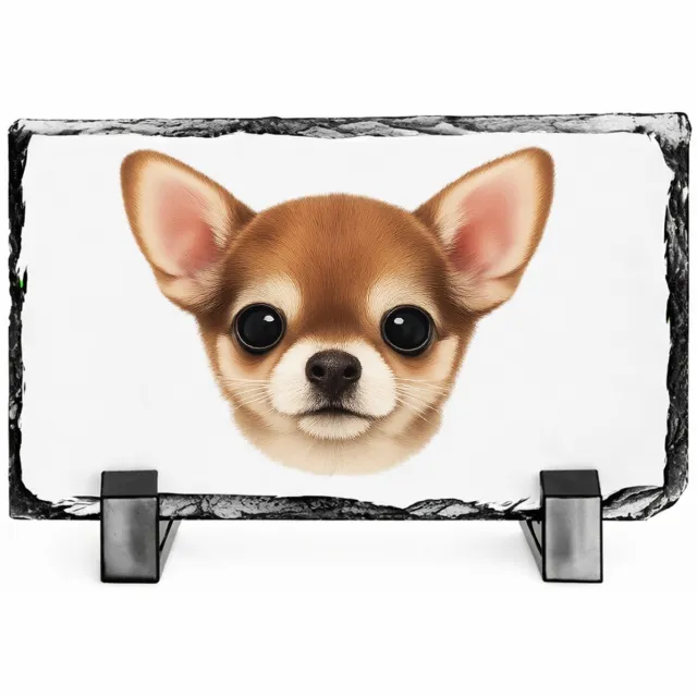 Mr Cadeautjes Leisteen rechthoek 14 x 9 - design Een klein, centraal portret van een nieuwsgierige kat met ro | cadeau Wit