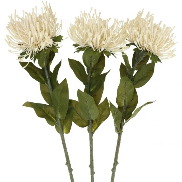Viana Speldenkussen kunstbloemen exotische Protea Leucospermum crème 73cm 3s Beige
