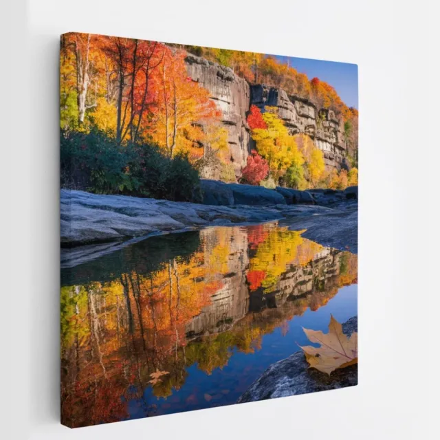 Saammp Canvas Schilderij - Blad op steen - Landschap - Natuur - 100x100 - Foto op canvas - Wanddecoratie - Muurdecoratie Woonkamer - Slaapkamer decoratie - Canvas Print Multicolor