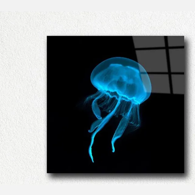 Myfinto Indoorart - Glasschilderij kwal 100x100 CM - Afbeelding op plexiglas - Inclusief montagemateriaal zwart